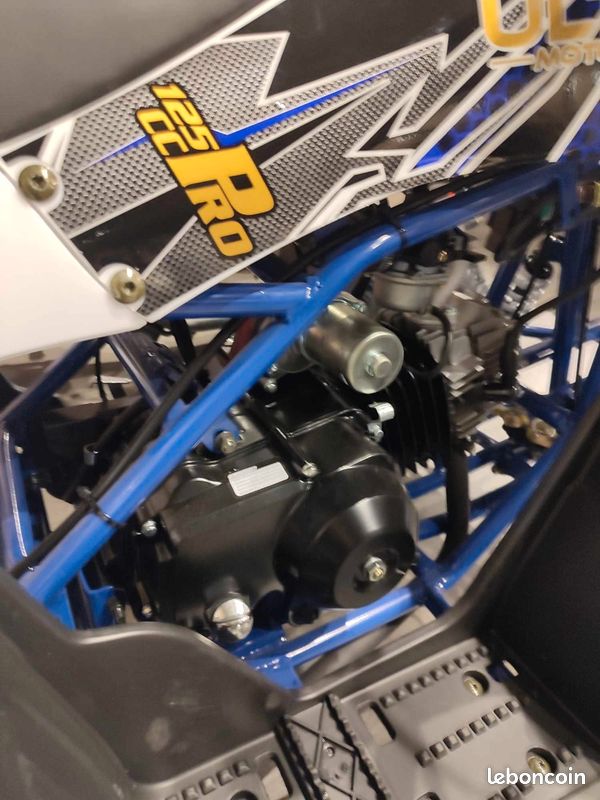 Quad 125cc Speedy - 6